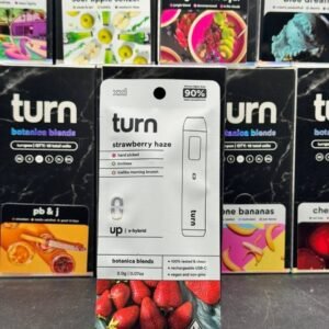 Buy Turn 2G Disposable