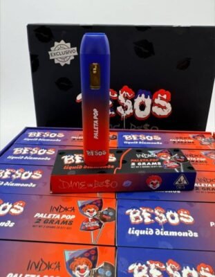 Besos Paleta Pop 2G Disposable