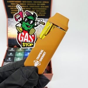 Clean Carts 2G Suitcase Edition