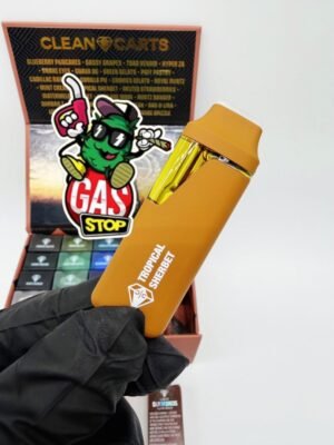 Clean Carts 2G Suitcase Edition