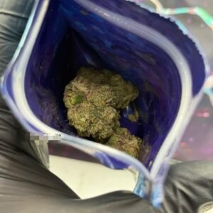 Wizard Trees Flower 3.5G