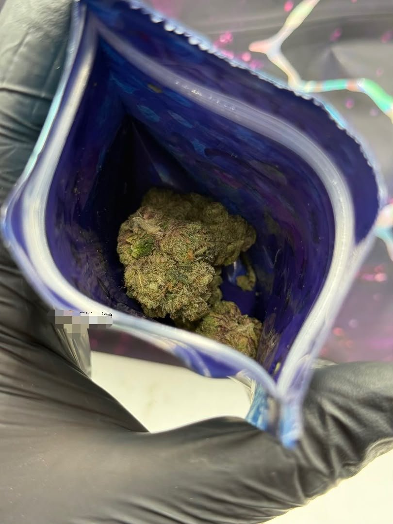 buy Wizard Trees Flower 3.5G Wizard Trees Flower 3.5G